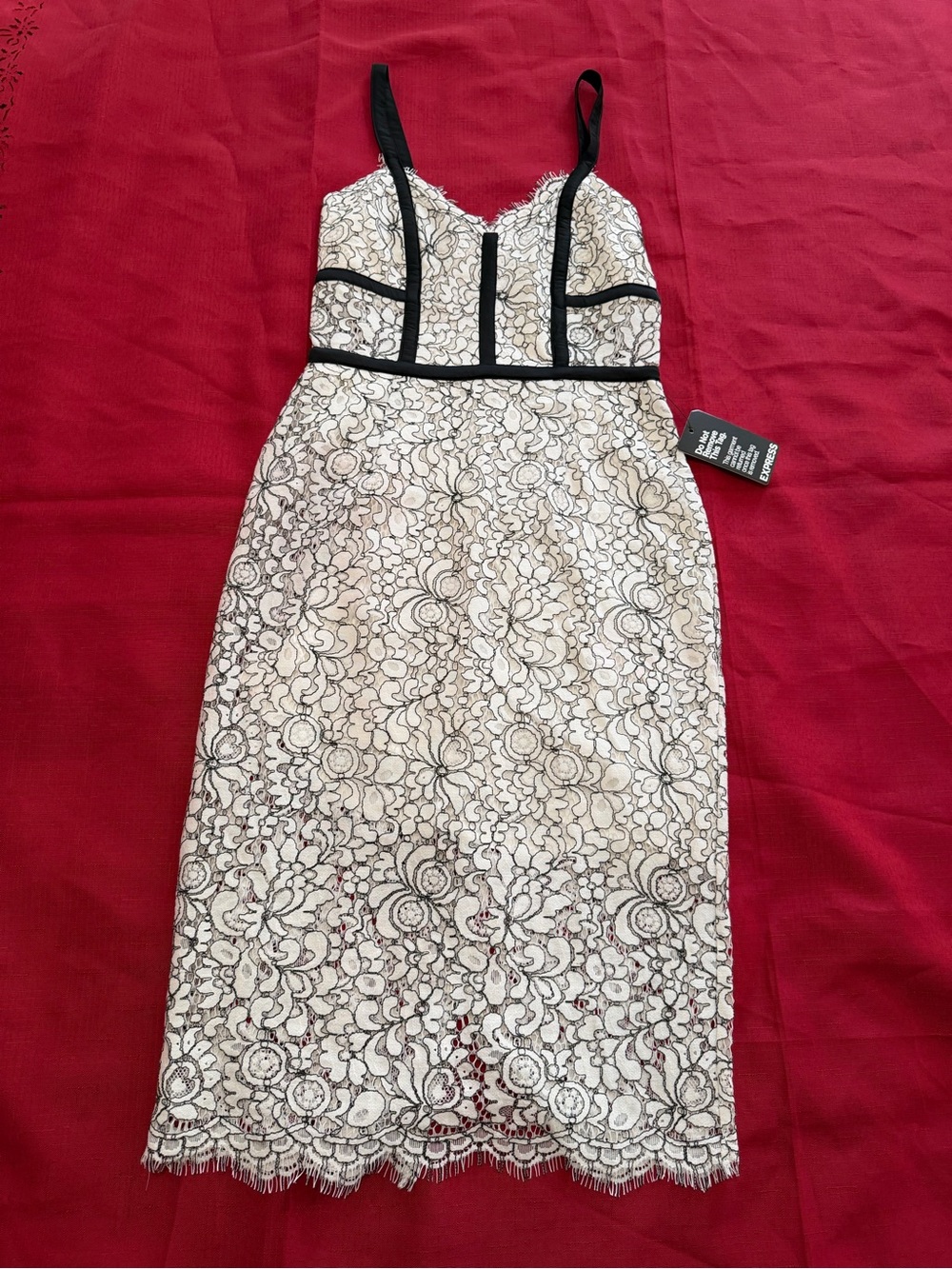 Express Ivory Lace Dress with Black Trim